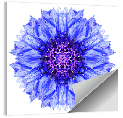 Cornflower Mandala Pattern Wall Art