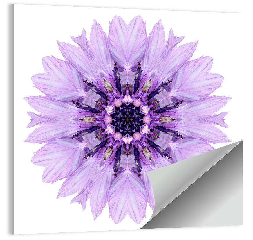 Lavender Cornflower Mandala Wall Art