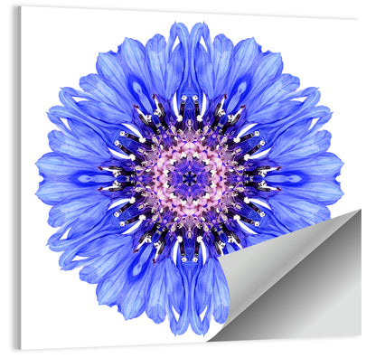 Blue Cornflower Mandala Pattern Wall Art