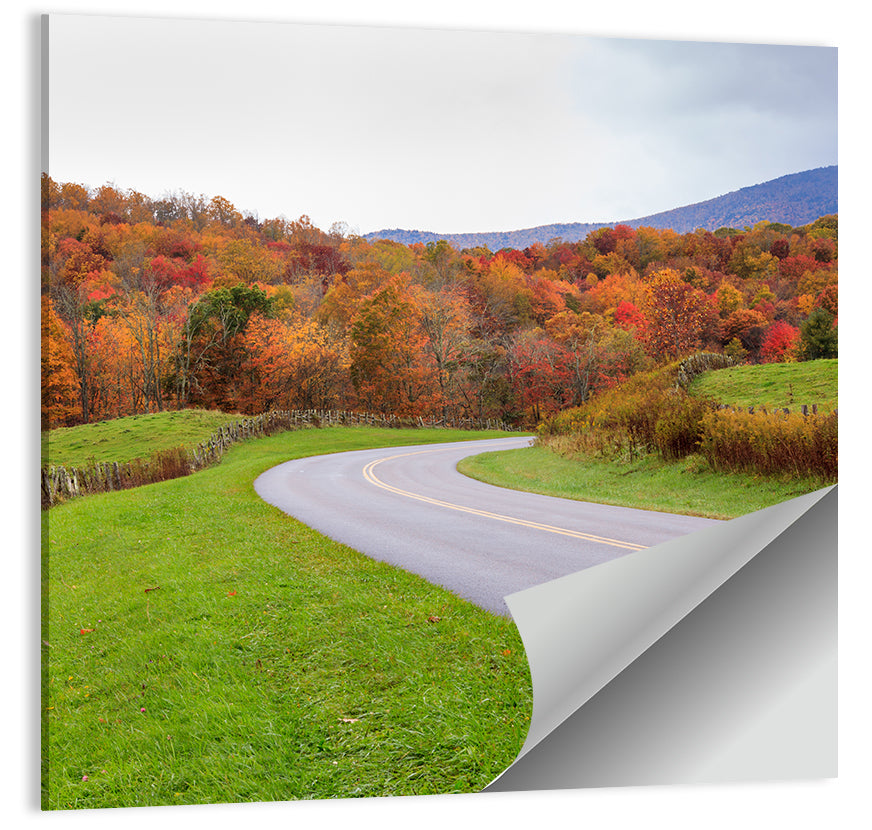 Curving Road Through Autumn Meadow Wall Art