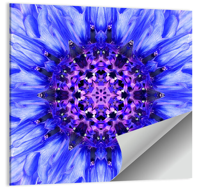 Kaleidoscopic Cornflower Mandala Wall Art as a poster print