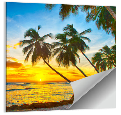 Palm Island Sunset Wall Art