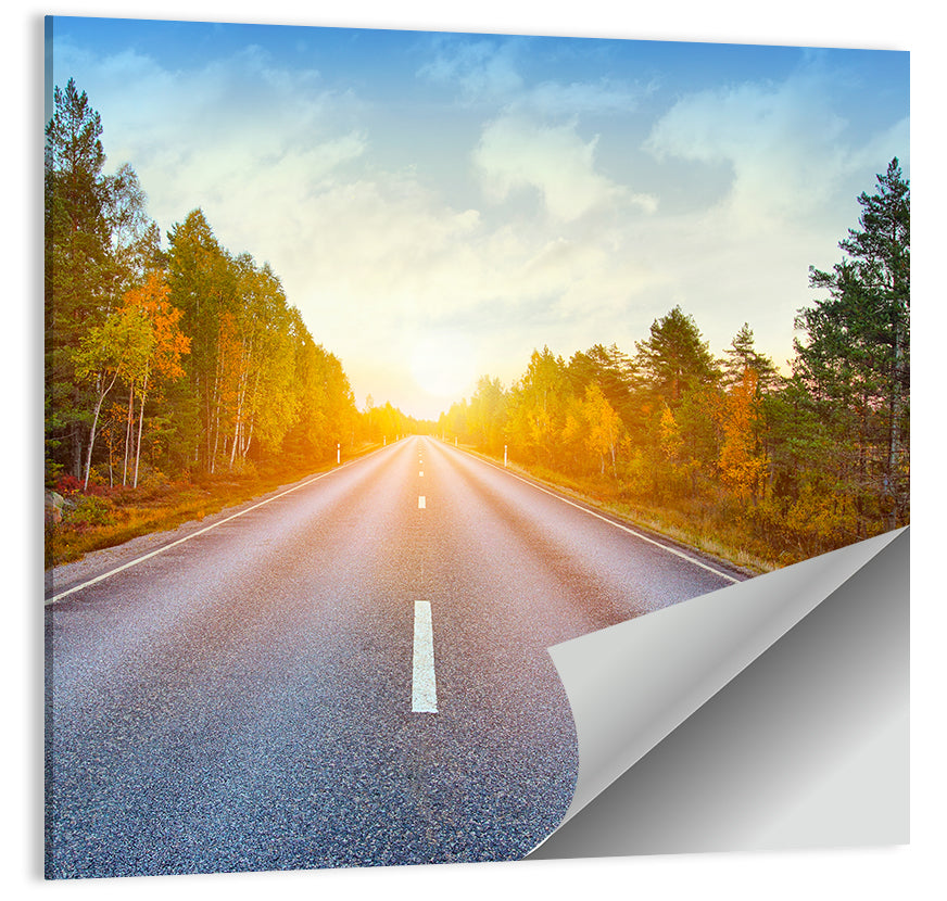 Sunlit Autumn Forest Road Wall Art