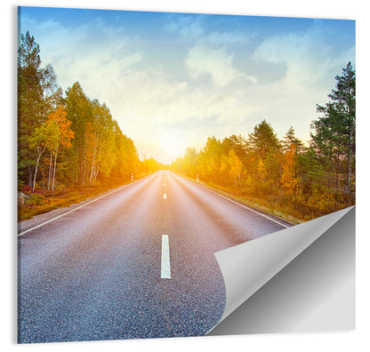 Sunlit Autumn Forest Road Wall Art