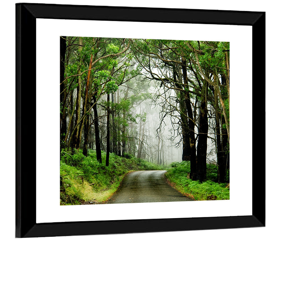 Misty Eucalyptus Road Wall Art
