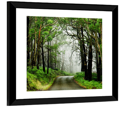 Misty Eucalyptus Road Wall Art