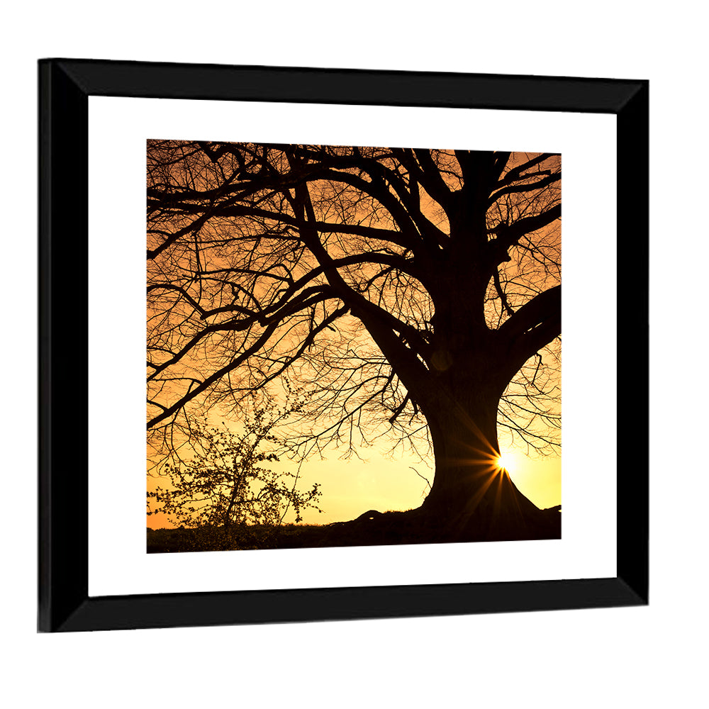 Willow Tree Sunset Wall Art