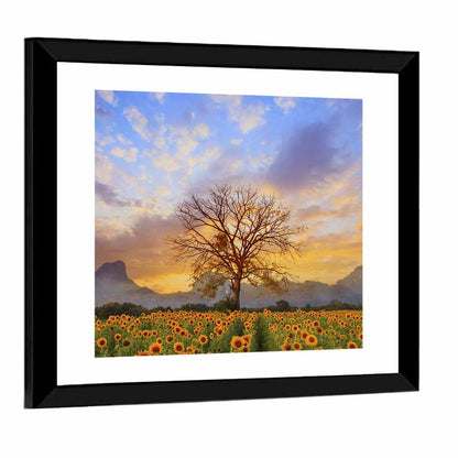 Sunflower Field at Sunset Wall Art