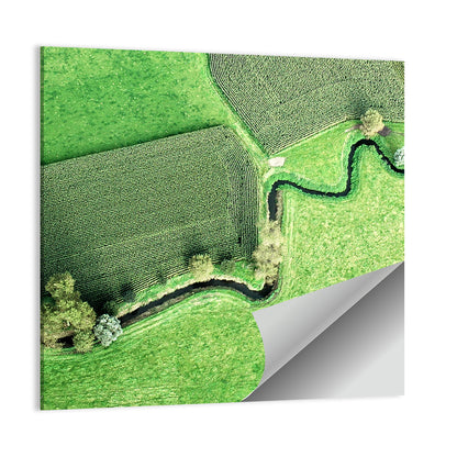 Meandering Stream Over Farmland Wall Art
