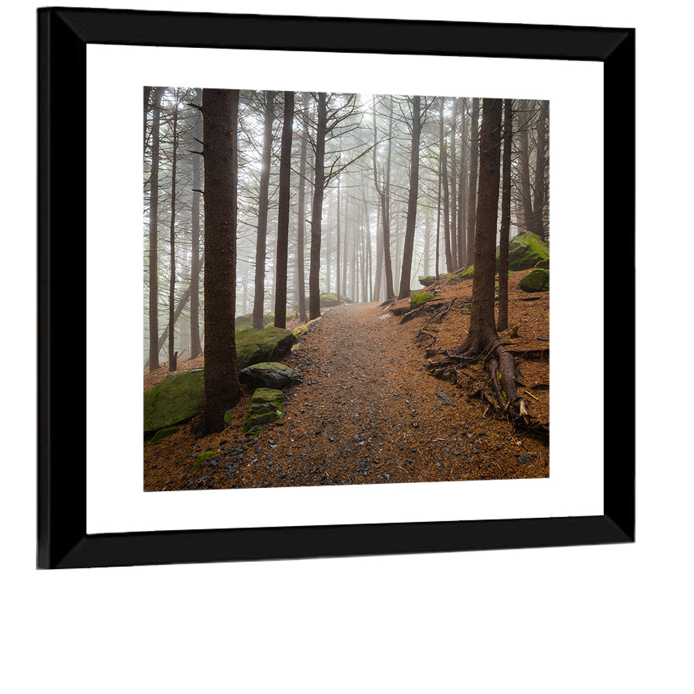 Misty Appalachian Trail Path Wall Art