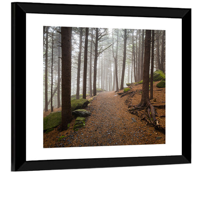 Misty Appalachian Trail Path Wall Art