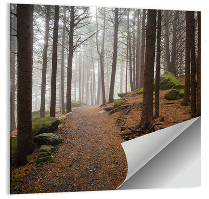Misty Appalachian Trail Path Wall Art