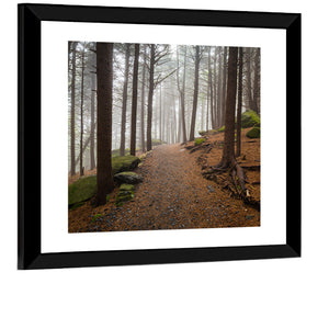 Appalachian Hiking Trail Wall Art