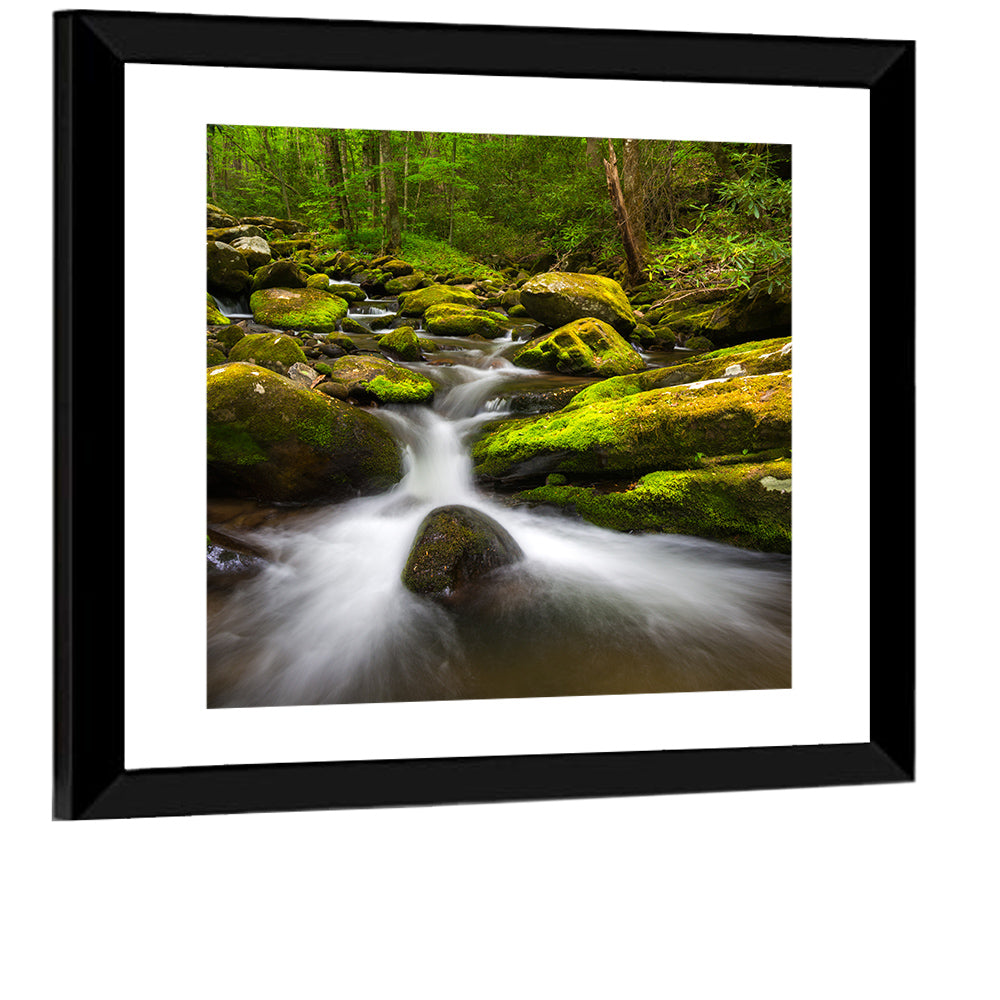 Mossy Forest Stream Wall Art