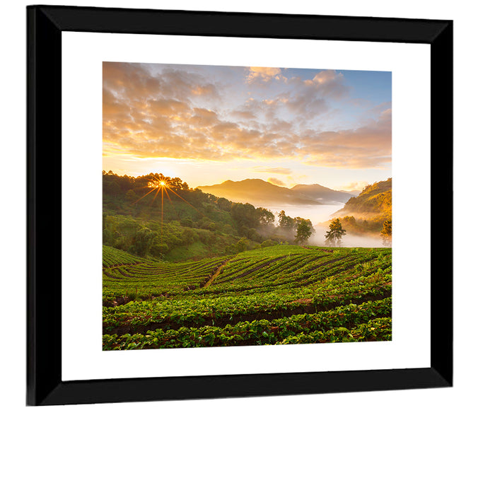 Strawberry Fields Sunrise Wall Art as a framed print