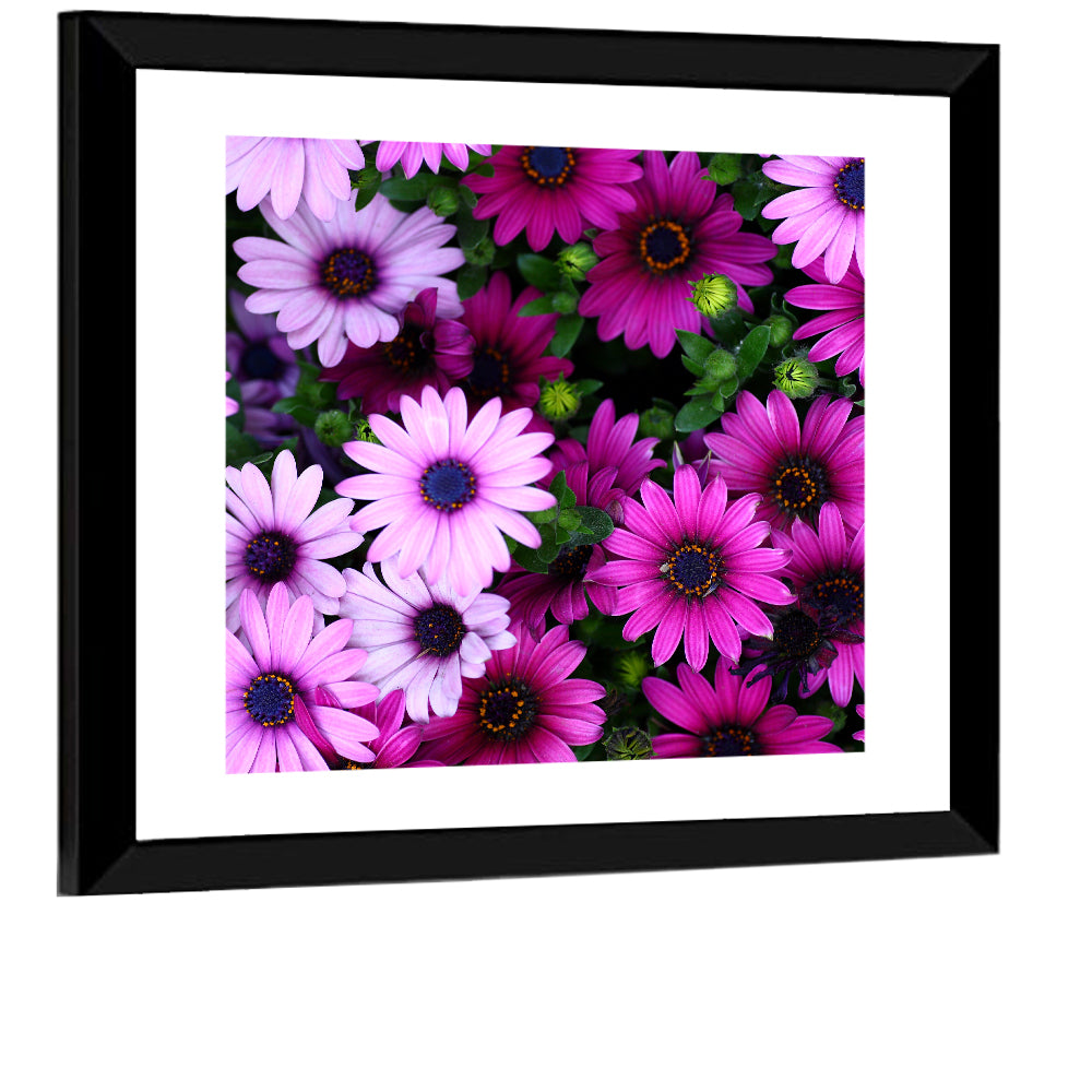 Pink and Purple Daisies Wall Art