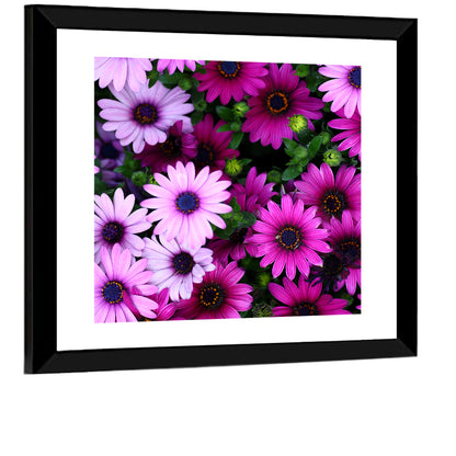 Pink and Purple Daisies Wall Art
