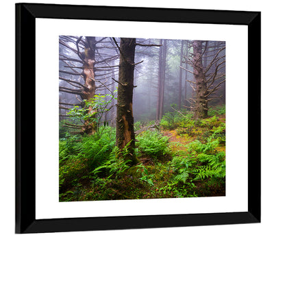 Misty Spruce-fir Trail Wall Art