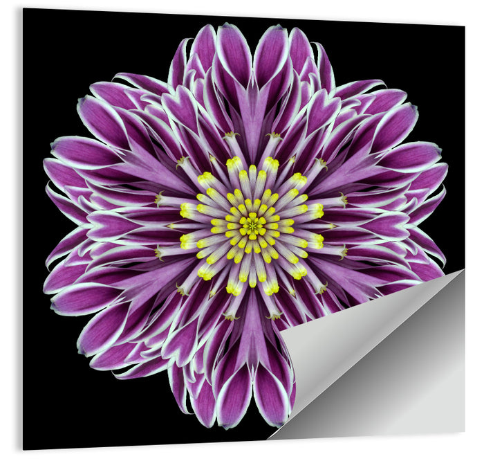 Kaleidoscopic Pink Floral Mandala Wall Art as a poster print