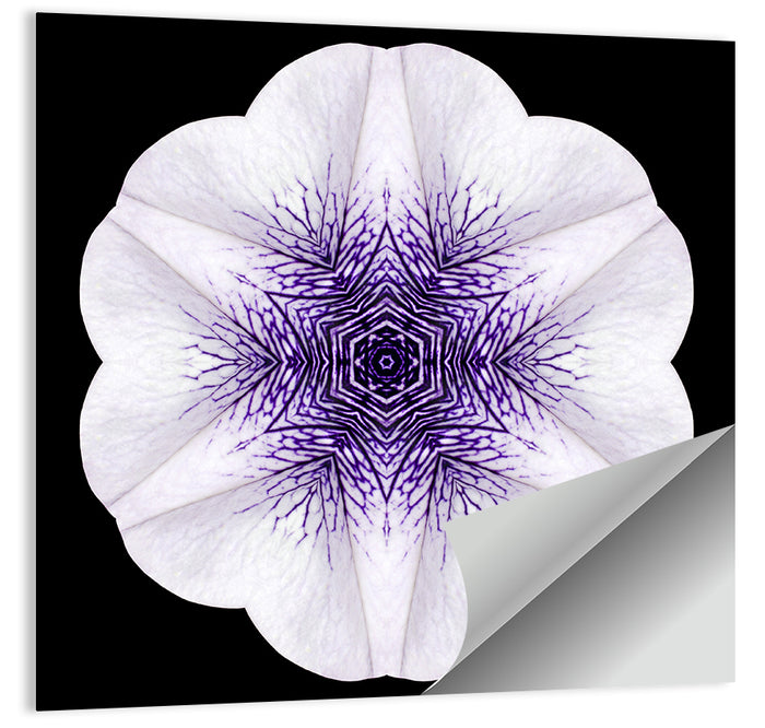 Purple Mandala Flower Kaleidoscope Wall Art as a poster print