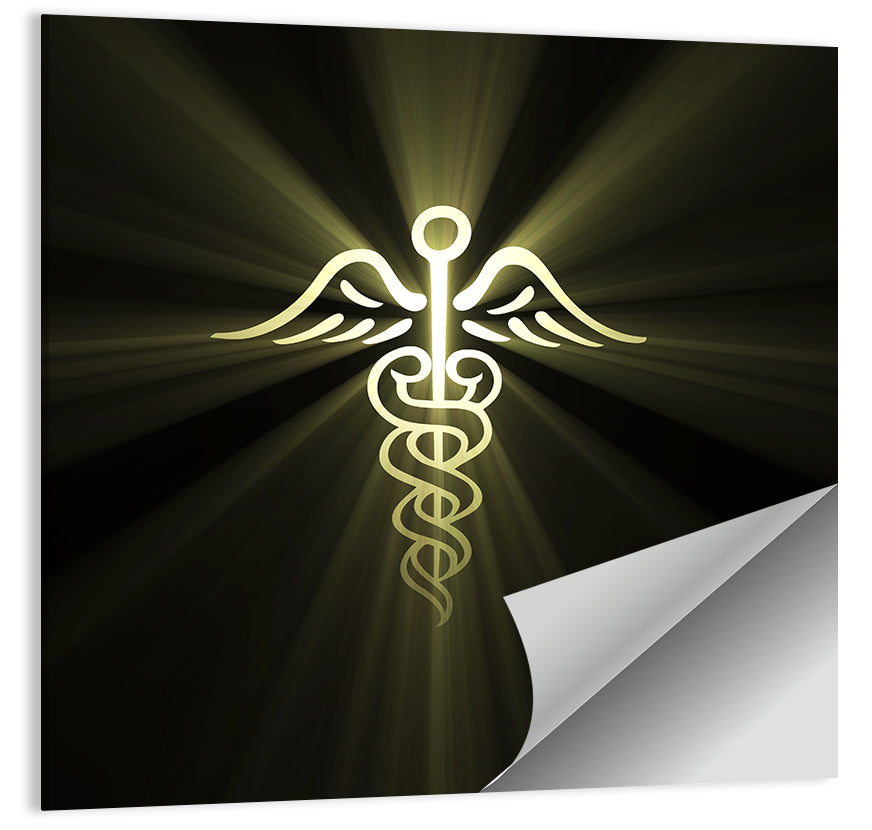 Medical Corps Caduceus Emblem Wall Art