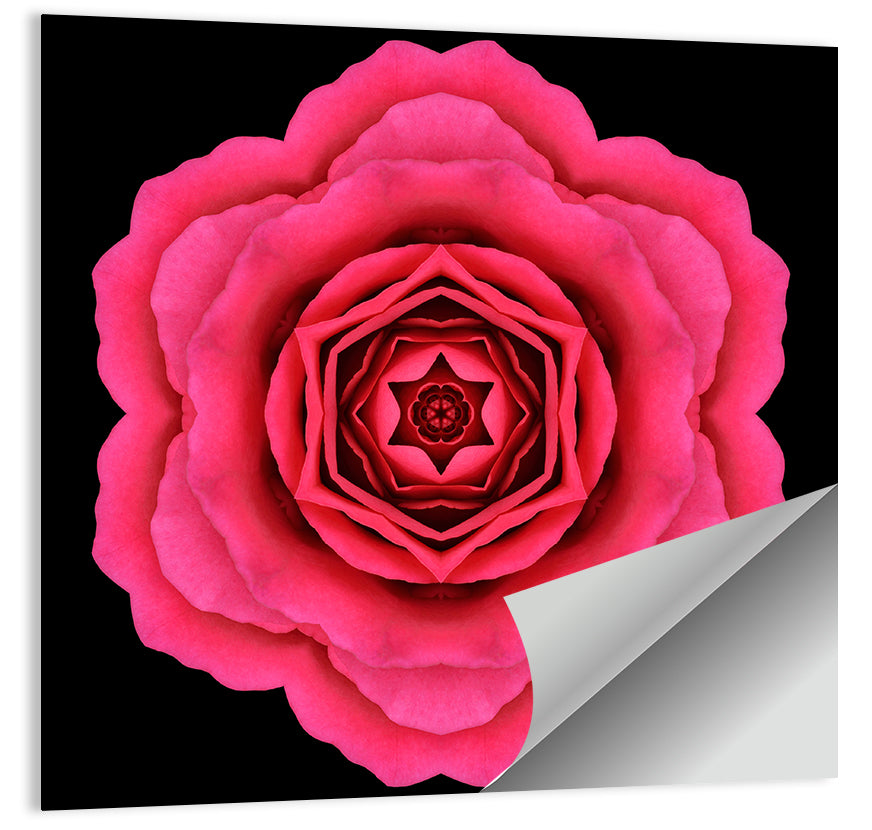 Magenta Rose Mandala Pattern Wall Art