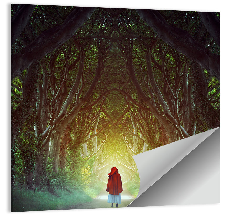 Dark Hedges Pathway Wall Art