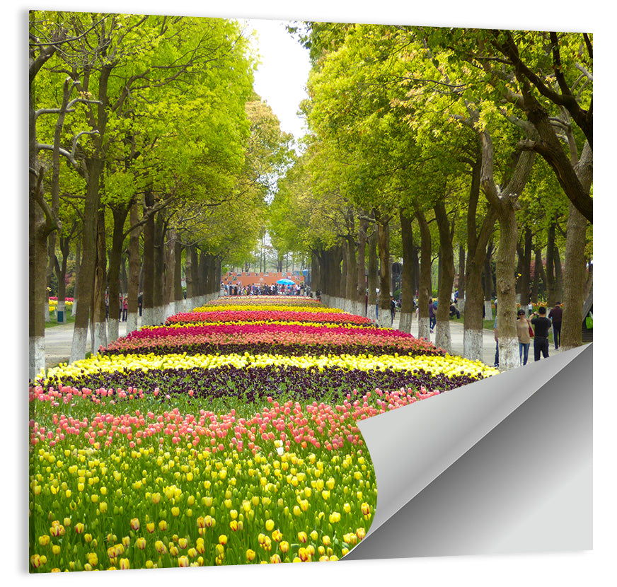 Tree-lined Tulip Garden Path Wall Art