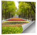 Tree-lined Tulip Garden Path Wall Art