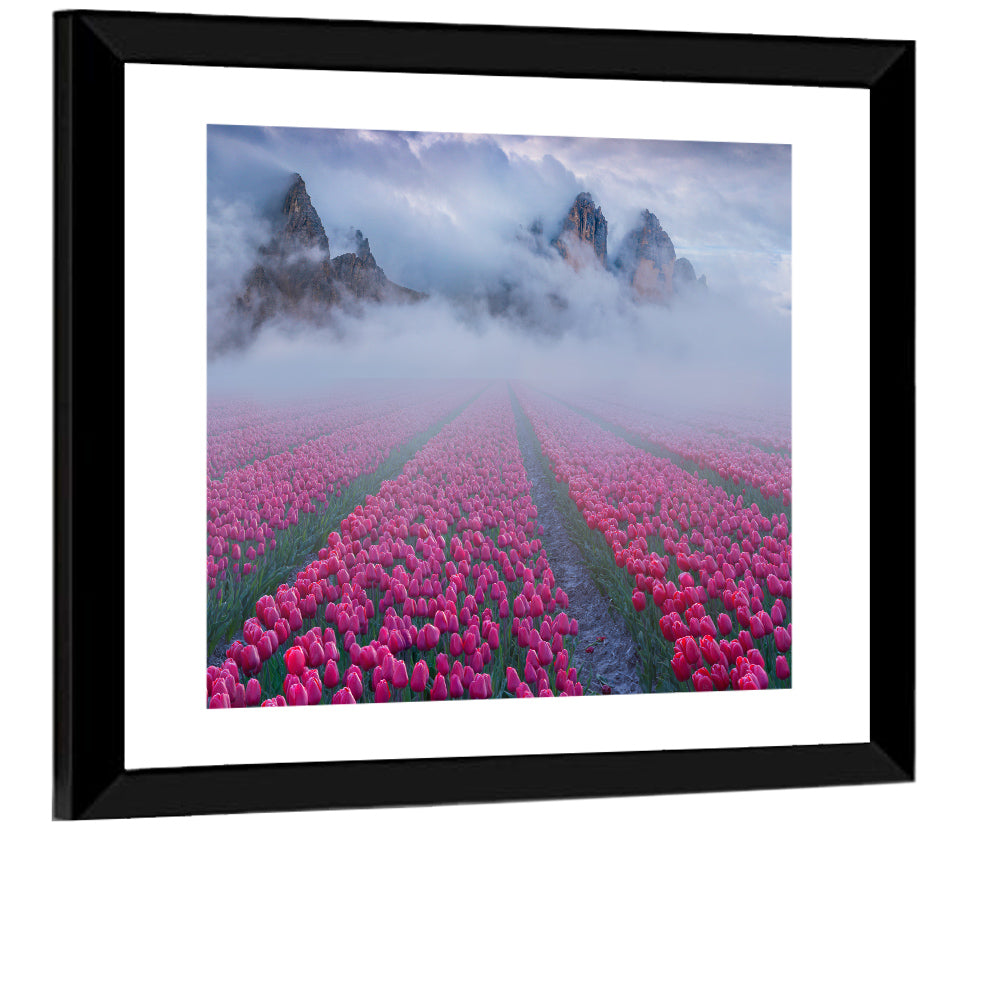 Misty Pink Tulip Field Wall Art