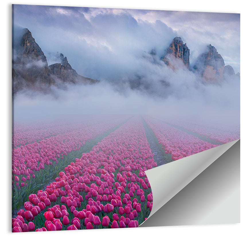 Misty Pink Tulip Field Wall Art