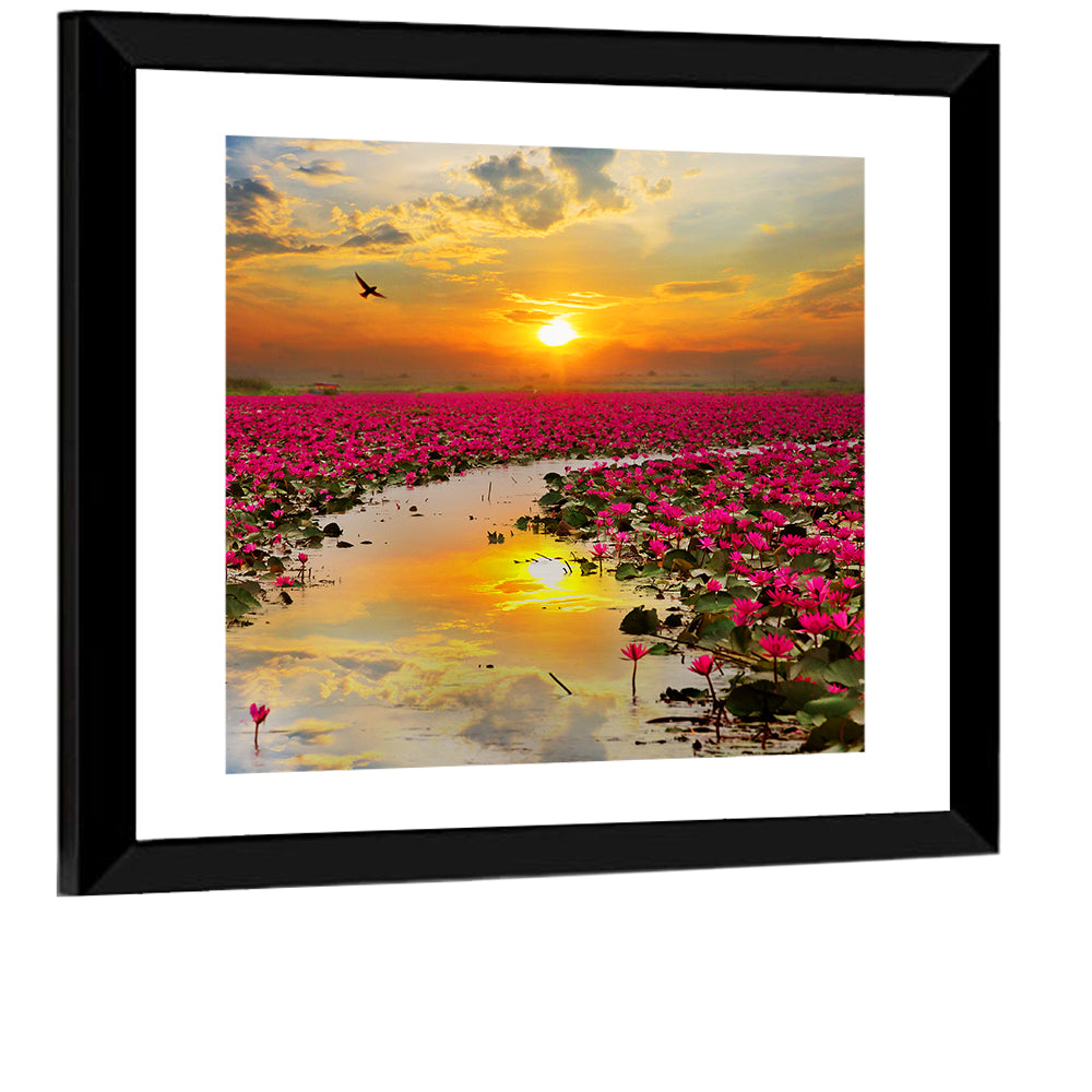 Golden Hour Lotus Field Wall Art