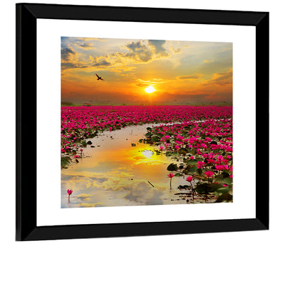 Golden Hour Lotus Field Wall Art
