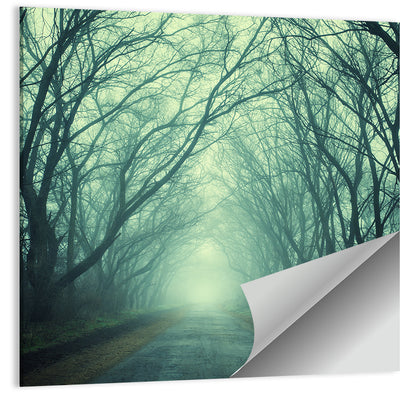 Foggy Forest Pathway Wall Art