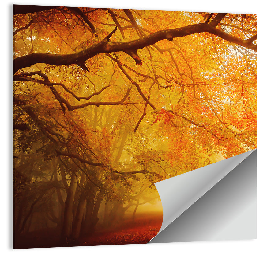Autumn Forest Path with Lone Figure Wall Art