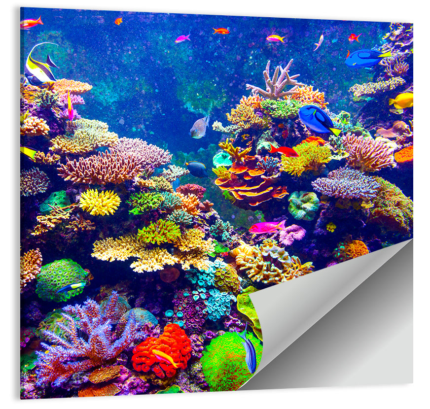 Tropical Coral Reef Aquarium Wall Art