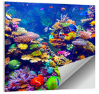Tropical Coral Reef Aquarium Wall Art