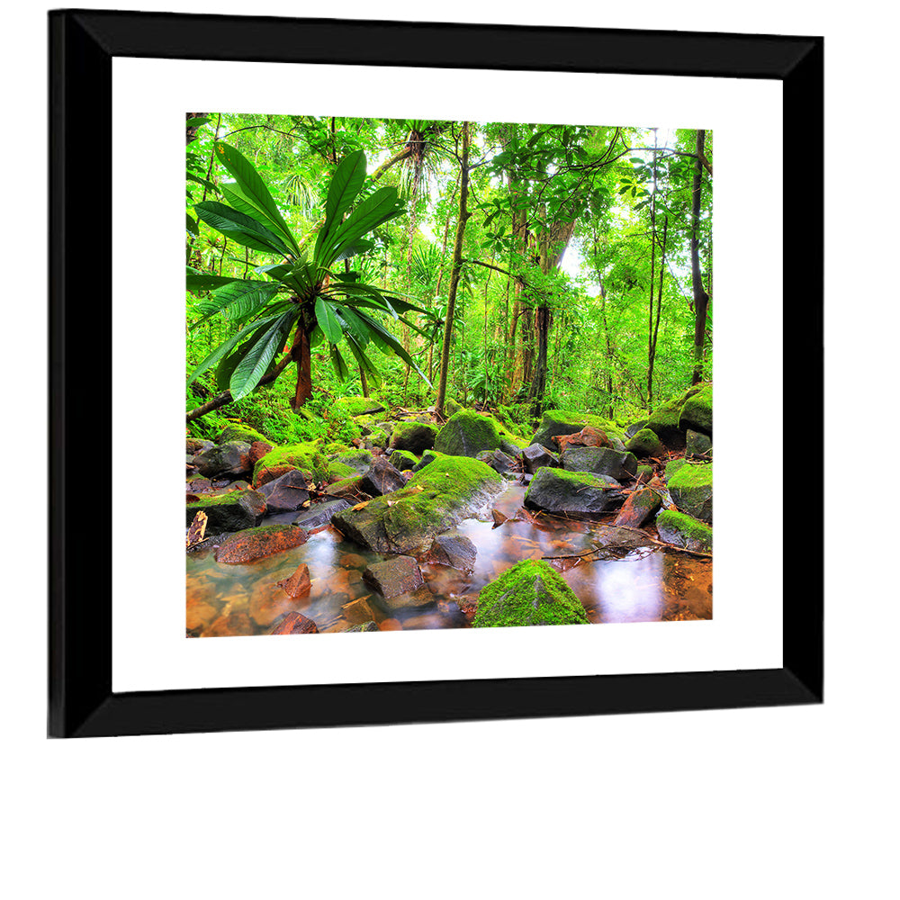 Mossy Rainforest Stream Wall Art