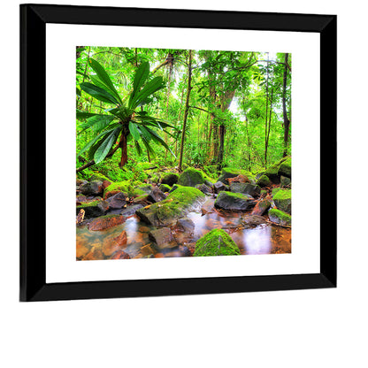 Mossy Rainforest Stream Wall Art