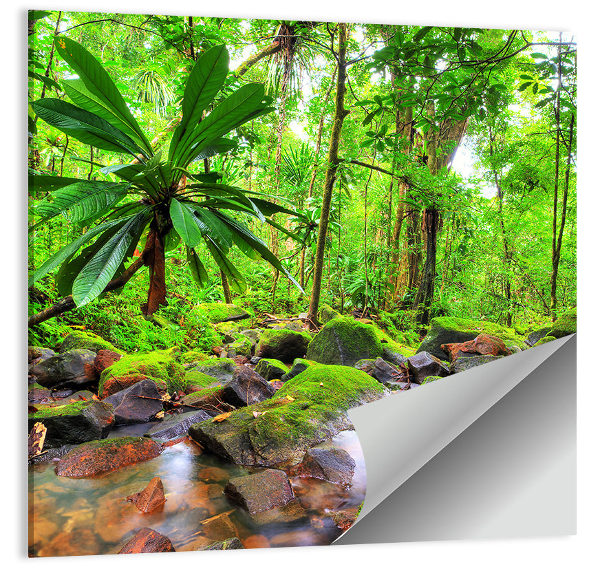 Mossy Rainforest Stream Wall Art
