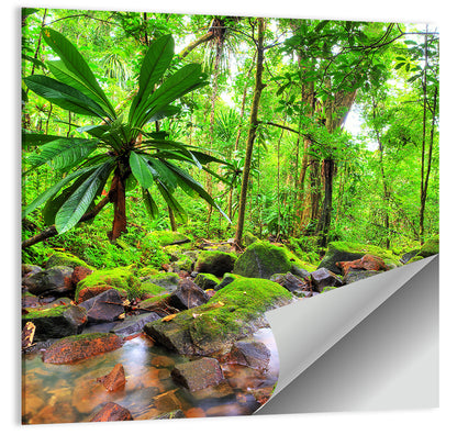 Mossy Rainforest Stream Wall Art