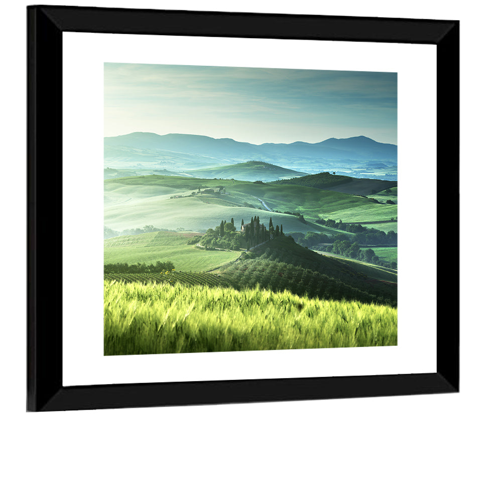 Misty Rolling Hills with Cypresses Wall Art