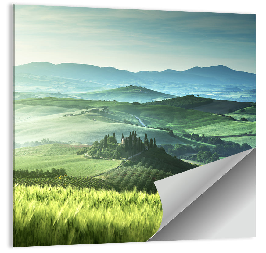 Misty Rolling Hills with Cypresses Wall Art