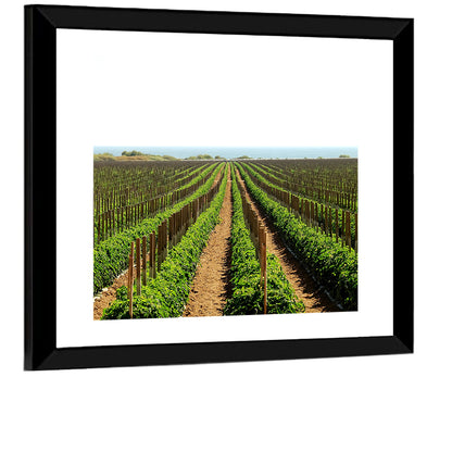 Tomato Fields Wall Art