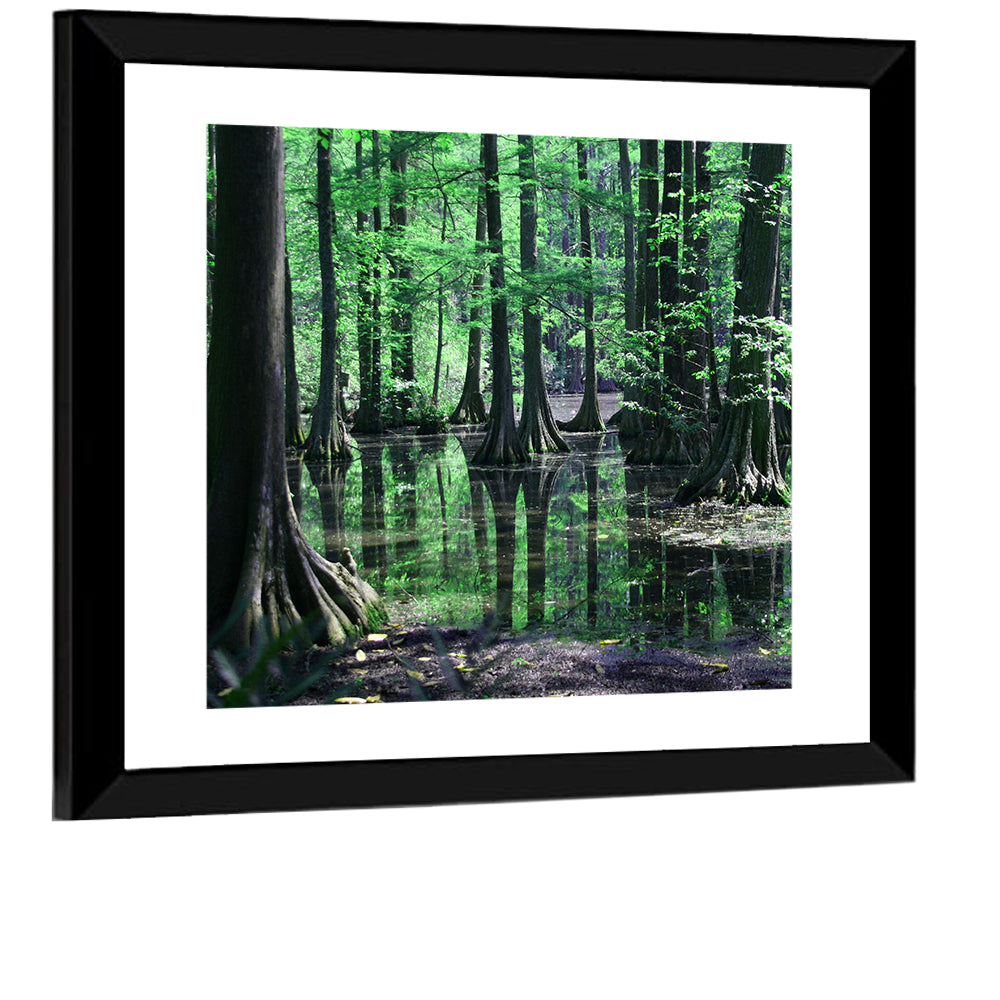 Congaree Swamp Reflection Wall Art