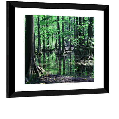 Congaree Swamp Reflection Wall Art