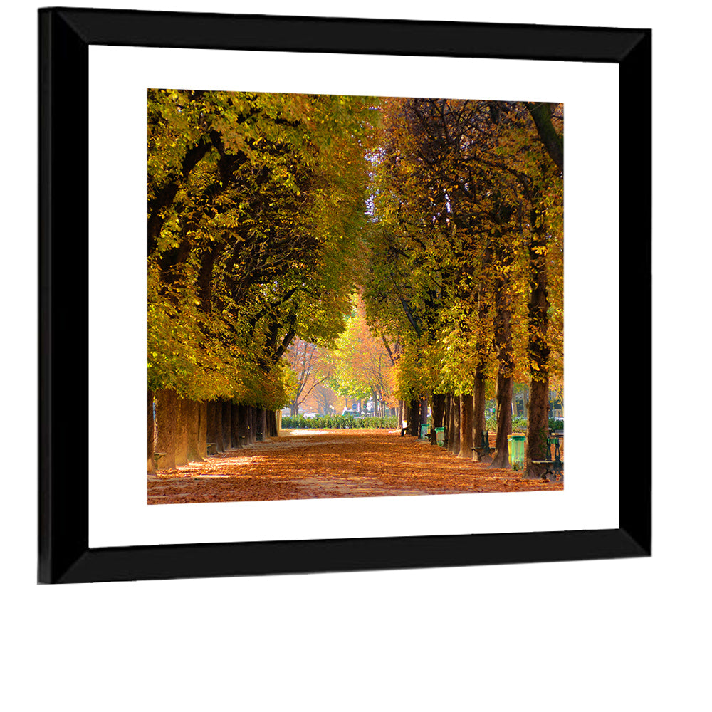 Golden Hour Autumn Path Wall Art