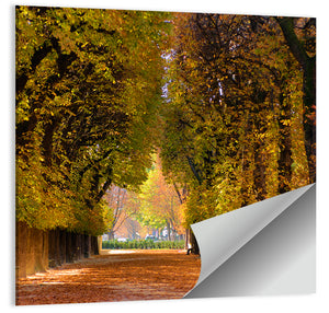 Autumn Path Wall Art