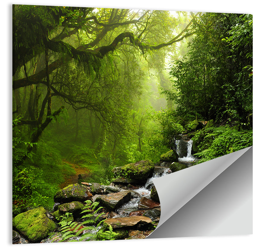 Annapurna Jungle Stream Wall Art