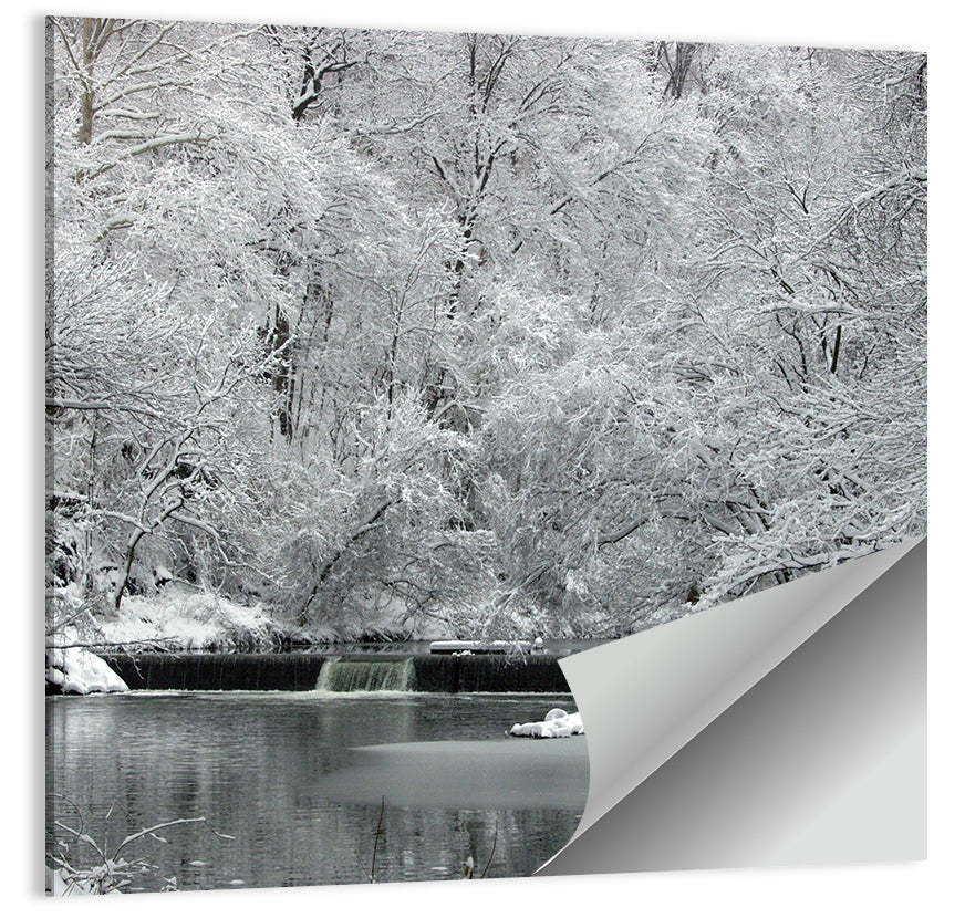 Fairmount Park Winter Spillway Wall Art